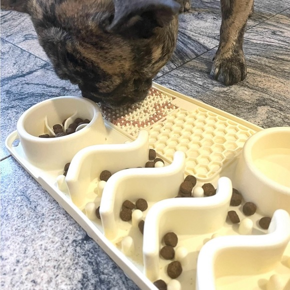 Slow Feeder Bowl Water Bowl Licking Mat for Dog Cats Food Mat Anxiety Relief - Picture 3 of 10